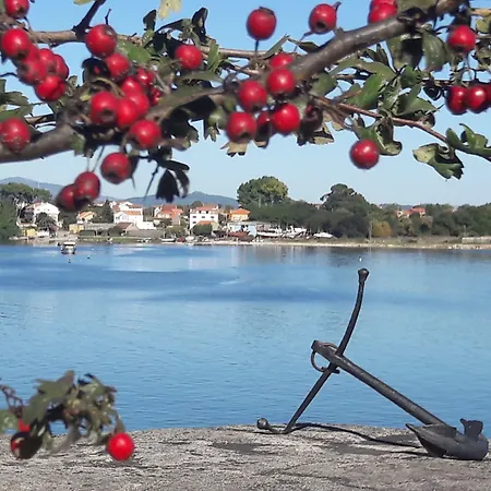 Torres Tourino 2* Sanxenxo