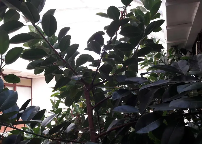 Torres Tourino Hotel